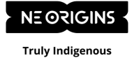 NE Origins